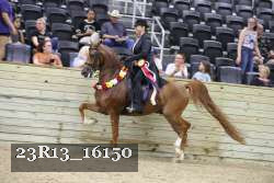 23R13_16150 thumbnail