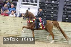 23R13_16151 thumbnail