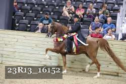 23R13_16152 thumbnail
