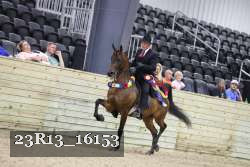 23R13_16153 thumbnail