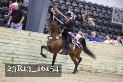 23R13_16154 thumbnail