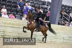 23R13_16155 thumbnail