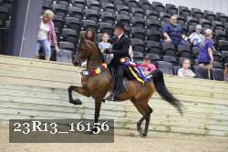 23R13_16156 thumbnail