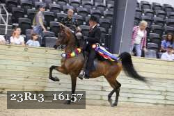23R13_16157 thumbnail