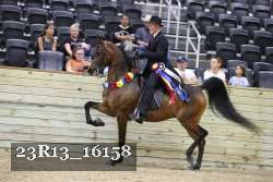 23R13_16158 thumbnail