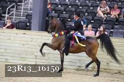 23R13_16159 thumbnail