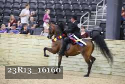 23R13_16160 thumbnail