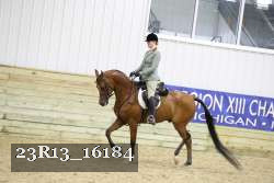 23R13_16184 thumbnail