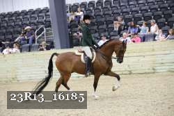 23R13_16185 thumbnail