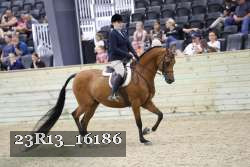 23R13_16186 thumbnail