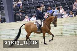 23R13_16188 thumbnail