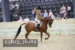23R13_16189 thumbnail