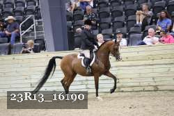23R13_16190 thumbnail