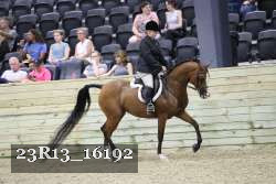 23R13_16192 thumbnail