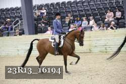 23R13_16194 thumbnail