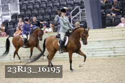 23R13_16195 thumbnail