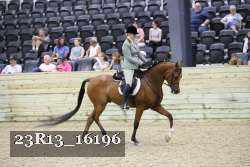 23R13_16196 thumbnail