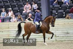 23R13_16197 thumbnail