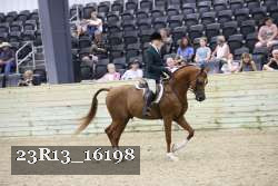 23R13_16198 thumbnail