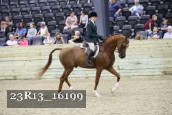 23R13_16199 thumbnail