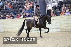 23R13_16200 thumbnail