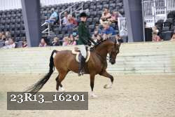 23R13_16201 thumbnail