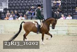 23R13_16202 thumbnail