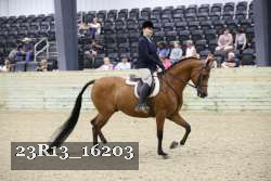 23R13_16203 thumbnail