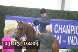 23R13_16204 thumbnail