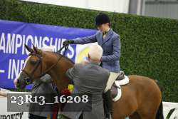 23R13_16208 thumbnail