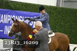 23R13_16209 thumbnail