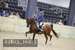 23R13_16213 thumbnail