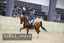 23R13_16214 thumbnail
