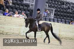 23R13_16216 thumbnail