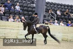 23R13_16217 thumbnail
