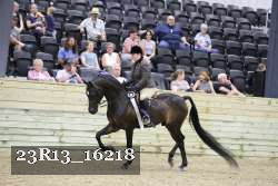 23R13_16218 thumbnail