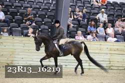 23R13_16219 thumbnail