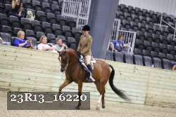 23R13_16220 thumbnail
