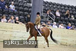 23R13_16221 thumbnail