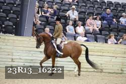 23R13_16222 thumbnail
