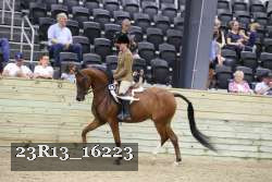 23R13_16223 thumbnail