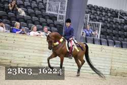 23R13_16224 thumbnail