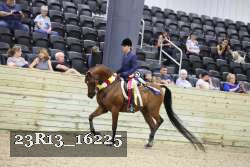 23R13_16225 thumbnail
