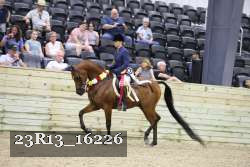 23R13_16226 thumbnail