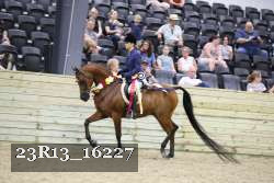 23R13_16227 thumbnail