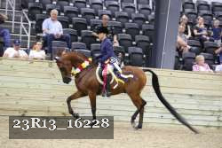 23R13_16228 thumbnail