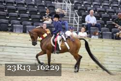 23R13_16229 thumbnail