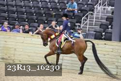 23R13_16230 thumbnail