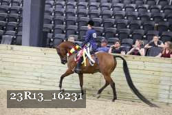 23R13_16231 thumbnail