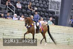 23R13_16232 thumbnail